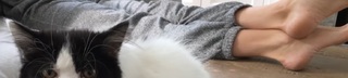 Colleen Ballinger feet photo thumbnail