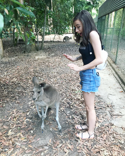 Colleen Ballinger feet photo thumbnail