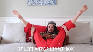 Colleen Ballinger feet photo thumbnail