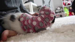 Colleen Ballinger feet photo thumbnail
