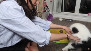 Colleen Ballinger feet photo thumbnail