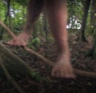 Colleen Haskell feet photo 2