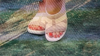 Colleen Lopez feet photo 19