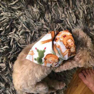 Collette Wolfe feet photo thumbnail