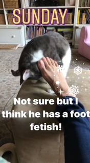 Constance Marie feet photo thumbnail