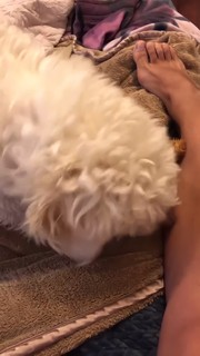 Consuelo Duval feet photo thumbnail