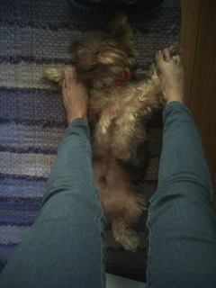 Corina Calderon feet photo 16