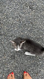 Corinna Kopf feet photo thumbnail