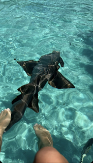 Corinna Kopf feet photo thumbnail