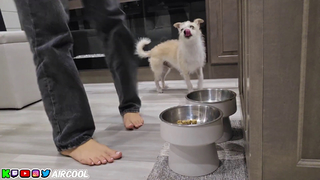 Corinna Kopf feet photo thumbnail