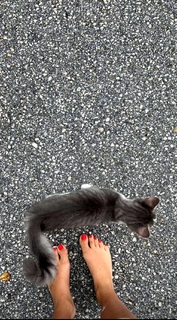 Corinna Kopf feet photo thumbnail