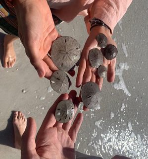 Cortney Palm feet photo 6
