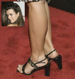 Cote de Pablo feet photo thumbnail