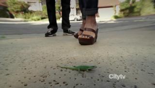 Courteney Cox feet photo thumbnail