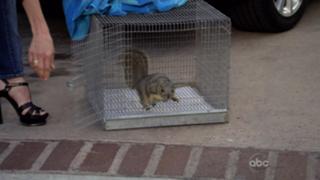 Courteney Cox feet photo thumbnail