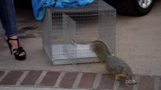 Courteney Cox feet photo thumbnail