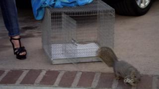 Courteney Cox feet photo thumbnail