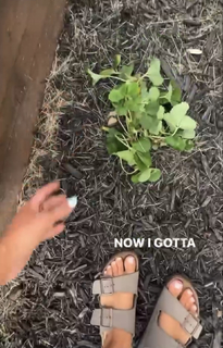 Courtney Budzyn feet photo 6