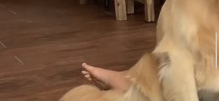 Courtney Budzyn feet photo 4