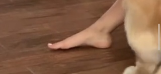 Courtney Budzyn feet photo 1