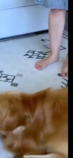 Courtney Budzyn feet photo 15