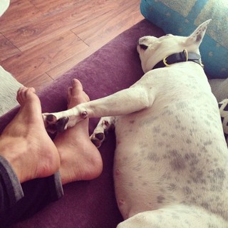 Courtney Kerr feet photo 3