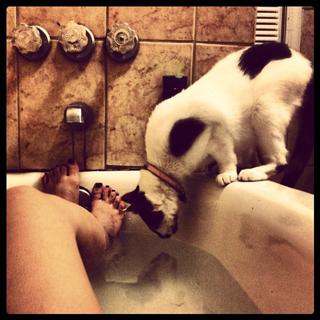 Courtney Lapresi feet photo 1