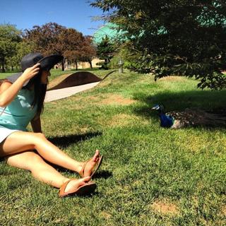 Courtney Lapresi feet photo 20