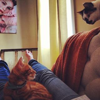 Courtney Lapresi feet photo 14
