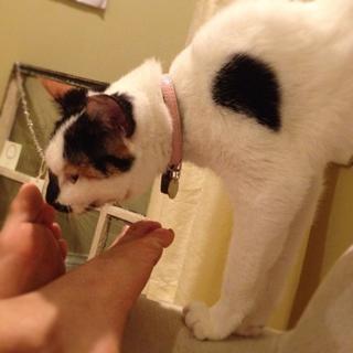 Courtney Lapresi feet photo 13