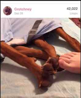 Courtney Miller feet photo thumbnail