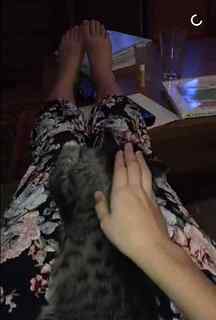 Courtney Miller feet photo thumbnail