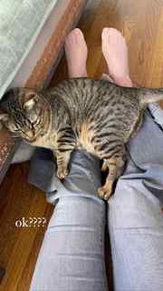 Courtney Miller feet photo thumbnail