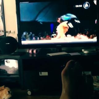Cris Cyborg feet photo thumbnail