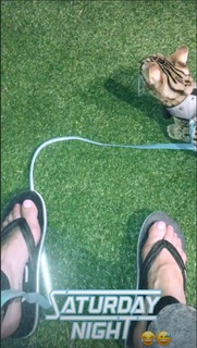 Cris Cyborg feet photo thumbnail