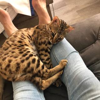 Cris Cyborg feet photo thumbnail