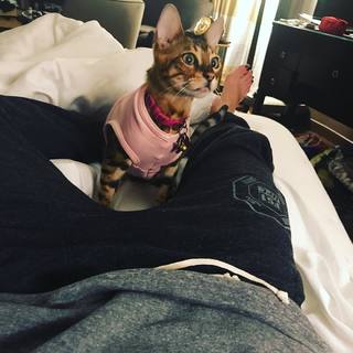 Cris Cyborg feet photo thumbnail