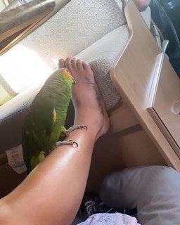 Cris Cyborg feet photo thumbnail