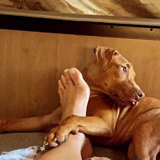 Cris Cyborg feet photo thumbnail