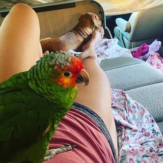 Cris Cyborg feet photo thumbnail