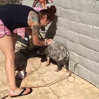 Cris Cyborg feet photo thumbnail