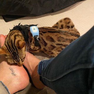 Cris Cyborg feet photo thumbnail