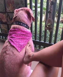 Cris Cyborg feet photo thumbnail