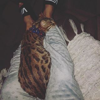 Cris Cyborg feet photo thumbnail