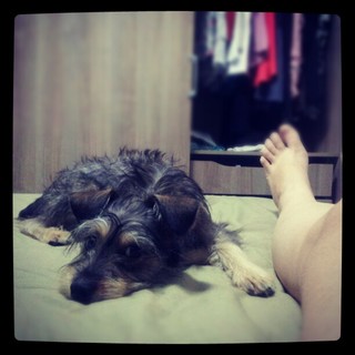 Criss Paiva feet photo 2