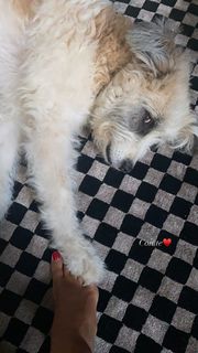 Cristina Chiabotto feet photo thumbnail