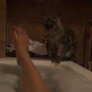 Cristina Del Basso feet photo 3