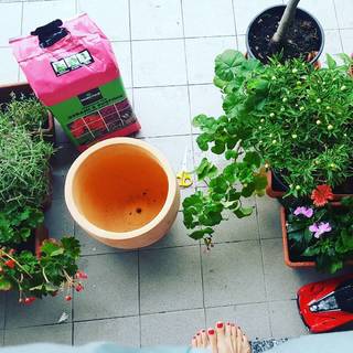Cristina Del Basso feet photo 19