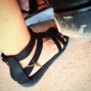 Cristina Scabbia feet photo thumbnail