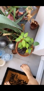 Cristina Scabbia feet photo thumbnail